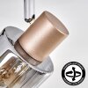 Casterk ceiling light, ceiling spotlight brown, chrome, 2-light sources