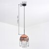 Ripoll hanging light, globe light, pendant light clear, coppery, 1-light source