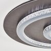 Lidor ceiling light LED anthracite, grey, black, 1-light source, Remote control