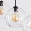 Koyoto hanging light, globe light, pendant light clear, 3-light sources