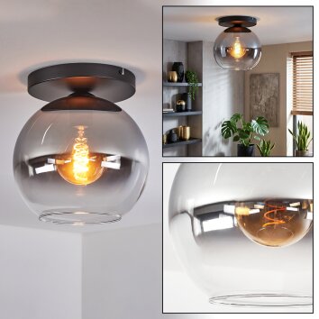 Koyoto ceiling light, globe light 25 cm clear, Smoke-coloured, 1-light source