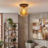 Ripoll ceiling light, globe light Amber, 1-light source