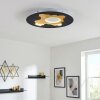 Holan ceiling light LED gold, black, white, 1-light source