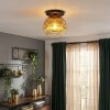 Ripoll ceiling light, globe light gold, clear, 1-light source