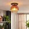 Ripoll ceiling light, globe light clear, coppery, 1-light source