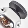Ripoll ceiling light, globe light chrome, clear, Smoke-coloured, 1-light source