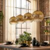 Ripoll hanging light, globe light, pendant light gold, clear, 4-light sources