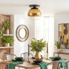 Koyoto ceiling light, globe light 25 cm gold, clear, 1-light source