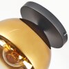 Koyoto ceiling light, globe light 25 cm gold, clear, 1-light source