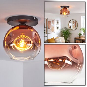 Ripoll ceiling light, globe light clear, coppery, 1-light source