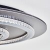 Lidor ceiling light LED anthracite, grey, black, 1-light source, Remote control