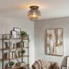 Koyoto ceiling light, globe light 30 cm clear, Smoke-coloured, 1-light source