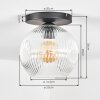 Ripoll ceiling light, globe light clear, 1-light source