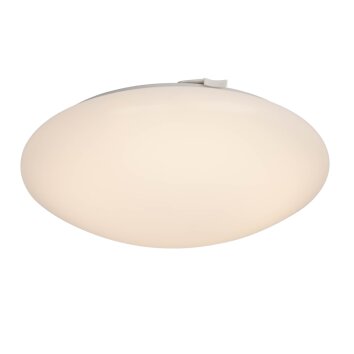AEG Basic ceiling light LED white, 1-light source