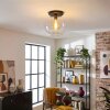 Koyoto ceiling light, globe light 30 cm clear, 1-light source