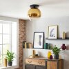 Koyoto ceiling light, globe light 30 cm gold, clear, 1-light source