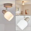 Sivol ceiling light, ceiling spotlight matt nickel, sand-coloured, 1-light source