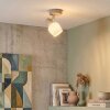Sivol ceiling light, ceiling spotlight matt nickel, sand-coloured, 1-light source