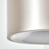 Falor hanging light, pendant light LED Champagne, 1-light source