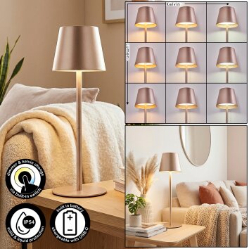 Salgadinho Outdoor table lamp, table lamp LED Champagne, 1-light source