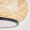 Jelon ceiling light LED black, 1-light source