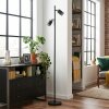 Fenik floor lamp LED black, 2-light sources