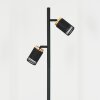 Fenik floor lamp LED black, 2-light sources