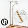Kavin floor lamp LED brass, 1-light source