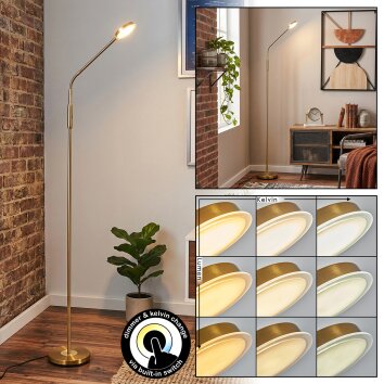 Kavin floor lamp LED brass, 1-light source