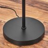 Deran floor lamp black, 1-light source