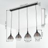 Rafel hanging light, pendant light black, 4-light sources