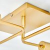 Bogno ceiling light brass, 4-light sources