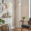 Arcen floor lamp LED matt nickel, 2-light sources