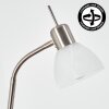 Arcen floor lamp LED matt nickel, 2-light sources