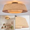 Orvex ceiling light black, 1-light source