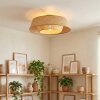 Orvex ceiling light black, 1-light source