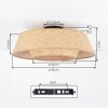 Orvex ceiling light black, 1-light source
