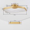 Talora ceiling light LED brass, 1-light source
