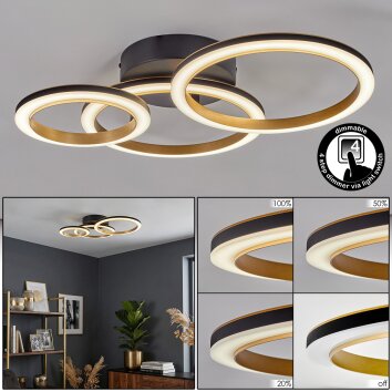 Tulor ceiling light LED black, 1-light source