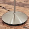 Karol floor lamp LED matt nickel, 2-light sources