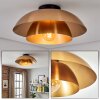 Albo ceiling light black, 1-light source