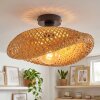 Bauro ceiling light black, 1-light source