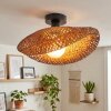 Bauro ceiling light black, 1-light source