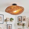 Bauro ceiling light black, 1-light source