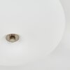Molak ceiling light matt nickel, 2-light sources