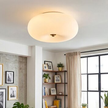 Molak ceiling light matt nickel, 2-light sources