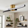 Kirel ceiling light LED brass, 1-light source