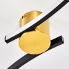 Kirel ceiling light LED brass, 1-light source