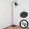 Talor floor lamp black, 1-light source