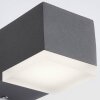 AEG Amity Outdoor Wall Light LED anthracite, 1-light source